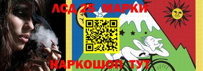 прущие грибы Камышлов