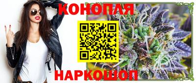 прущие грибы Камышлов