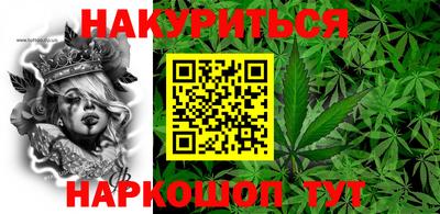 прущие грибы Камышлов