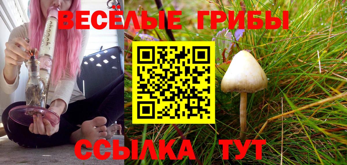 Галлюциногенные грибы GOLDEN TEACHER Красноярск