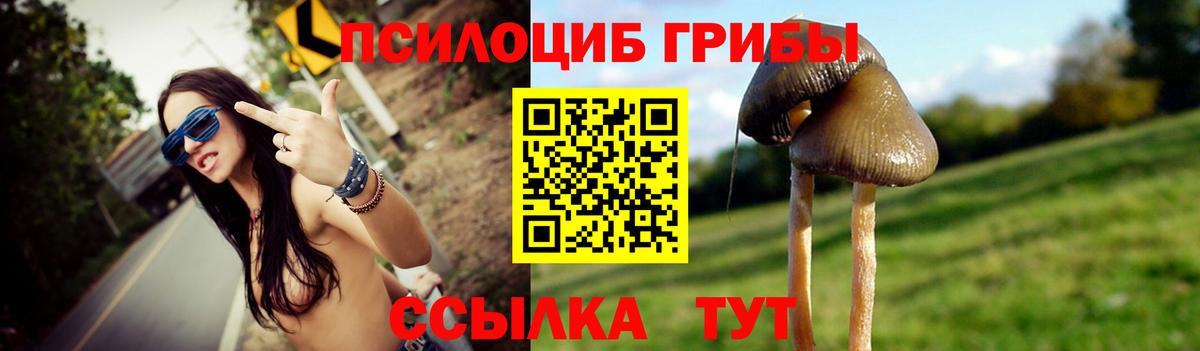 Псилоцибиновые грибы Cubensis  Вход с VPN  Красноярск 